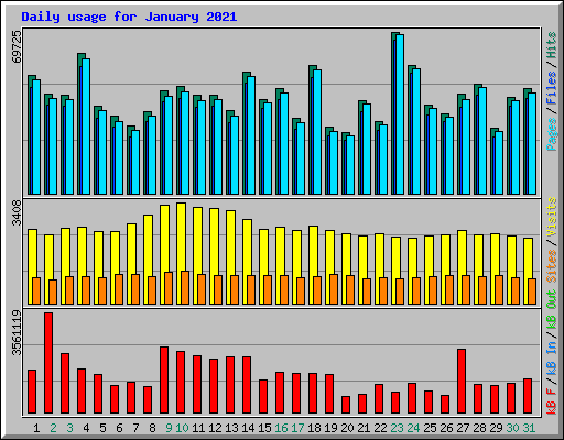 Daily usage for January 2021