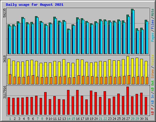 Daily usage for August 2021