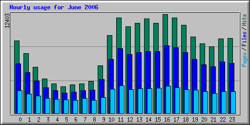 Hourly usage for June 2006