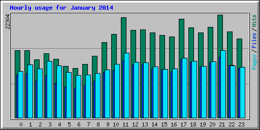 Hourly usage for January 2014