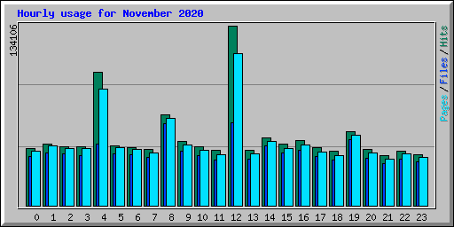 Hourly usage for November 2020