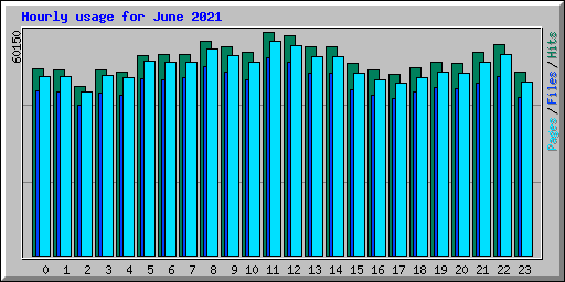 Hourly usage for June 2021