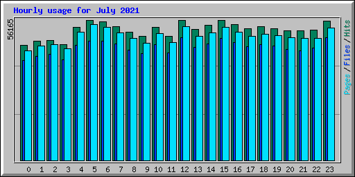 Hourly usage for July 2021