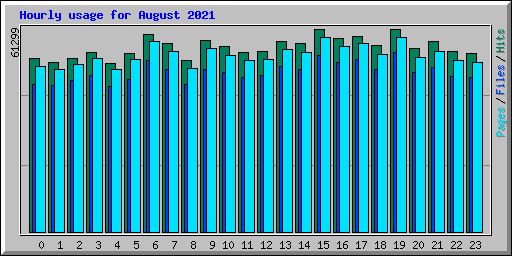 Hourly usage for August 2021